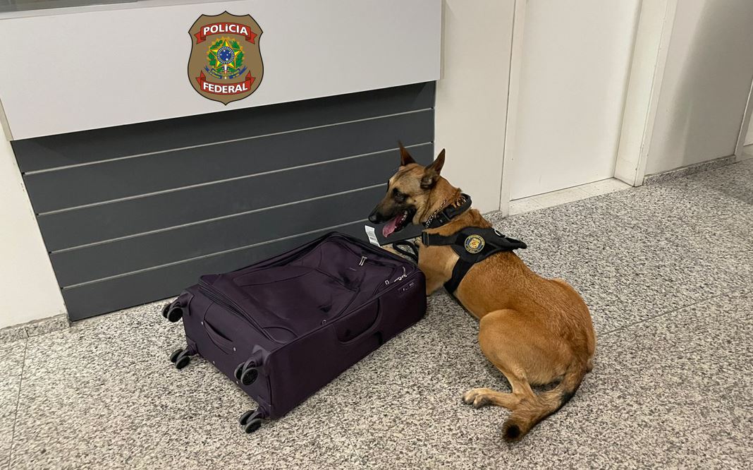 [VÍDEO] Casal é preso pela PF no Aeroporto de Natal enquanto tentava traficar drogas para a Europa