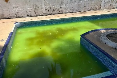 Pacientes eram torturados em piscina com lodo em clínica clandestina 