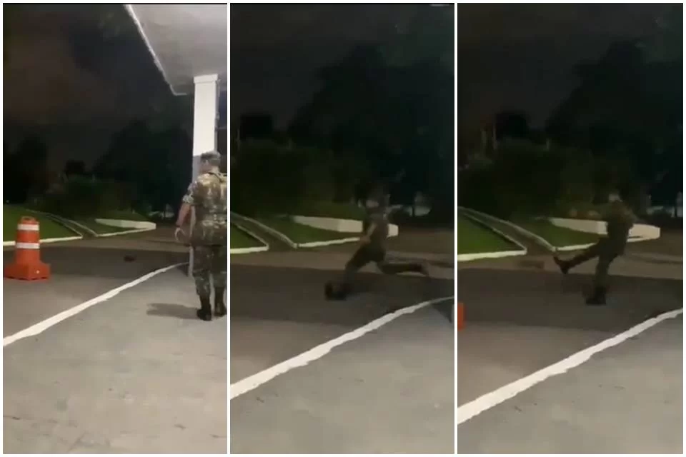 [VIDEO] Ibama pede informações ao Exército sobre militar que chutou animal