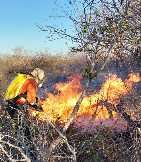 Incêndios em vegetação disparam e crescem 200% em um mês na Grande Natal