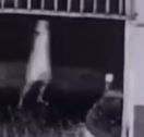 [VÍDEO] Imagens mostram momento em que bandidos matam homem e mulher em calçada de casa em Felipe Camarão