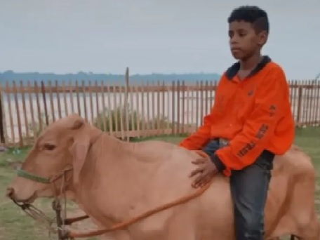 Criança de 13 anos morre baleada na cabeça enquanto andava de bicicleta dentro de condomínio