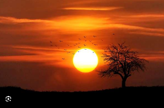 Calor sufocante ganha força no Brasil no fim de semana e se intensifica no feriado de 15 de novembro