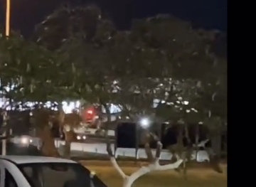 [VÍDEO] Perseguição policial tem tiroteio e correria na Árvore de Mirassol