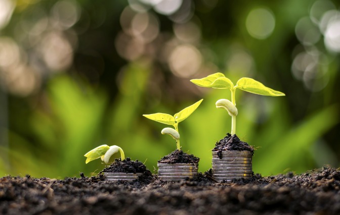 Sebrae abre inscrições para diagnóstico do setor de startups de impacto socioambiental