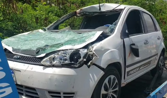 Dois cavalos morrem e motorista fica ferido em acidente na Zona Norte de Natal