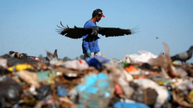 Extrema pobreza no Brasil cai pela 1ª vez desde o início da pandemia