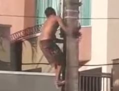 [VÍDEO] Flagrante a luz do dia: Homem sobe em poste para furtar fio e deixa rua sem energia em Ponta...