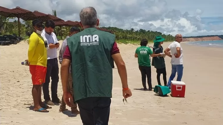 'Maré vermelha': mais de 500 pessoas são intoxicadas em praias do Nordeste