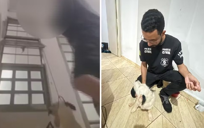 Adolescente é apreendido após enforcar cão e transmitir crime em live