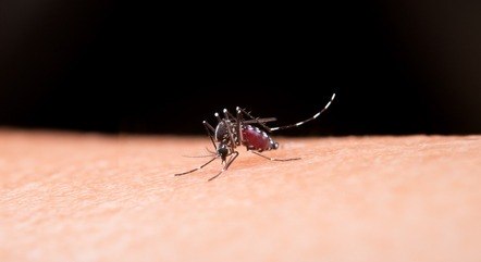 Dengue: mesmo com epidemia, SUS ainda não definiu início da vacinação 