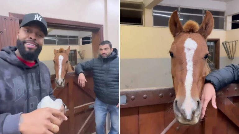 Janja queria que resgate de Cavalo Caramelo esperasse sua chegada, revela veterinário