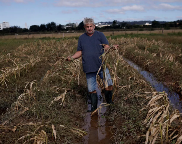 Agro do RS estima perdas de R$ 3 bi e uma década para recuperar produções inundadas