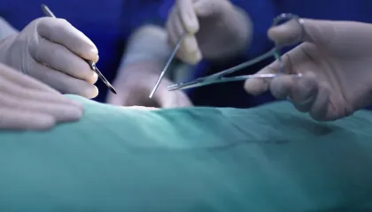 Primeiro transplante de fígado de porco em humano é realizado