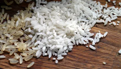 Oposição fala em lançar CPI contra a compra de arroz importado