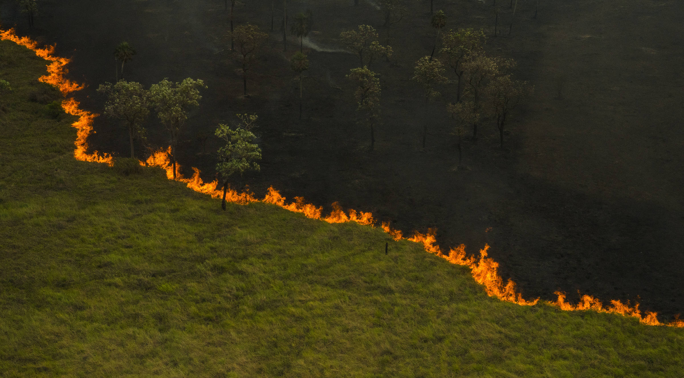 Pantanal tem junho com mais focos de incêndio da história