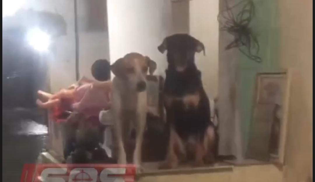 [VIDEO] Família mostra que perdeu tudo em casa com as chuvas: "Mais de 1 metro de água"