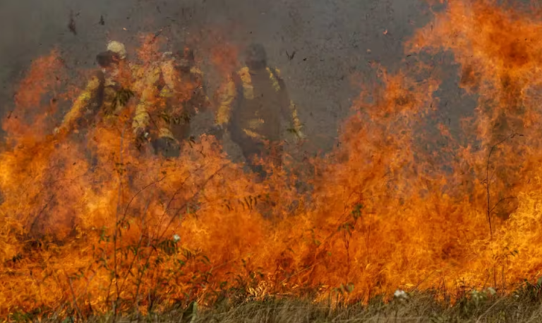 Pantanal registra maior número de focos de incêndio no primeiro semestre desde 1988