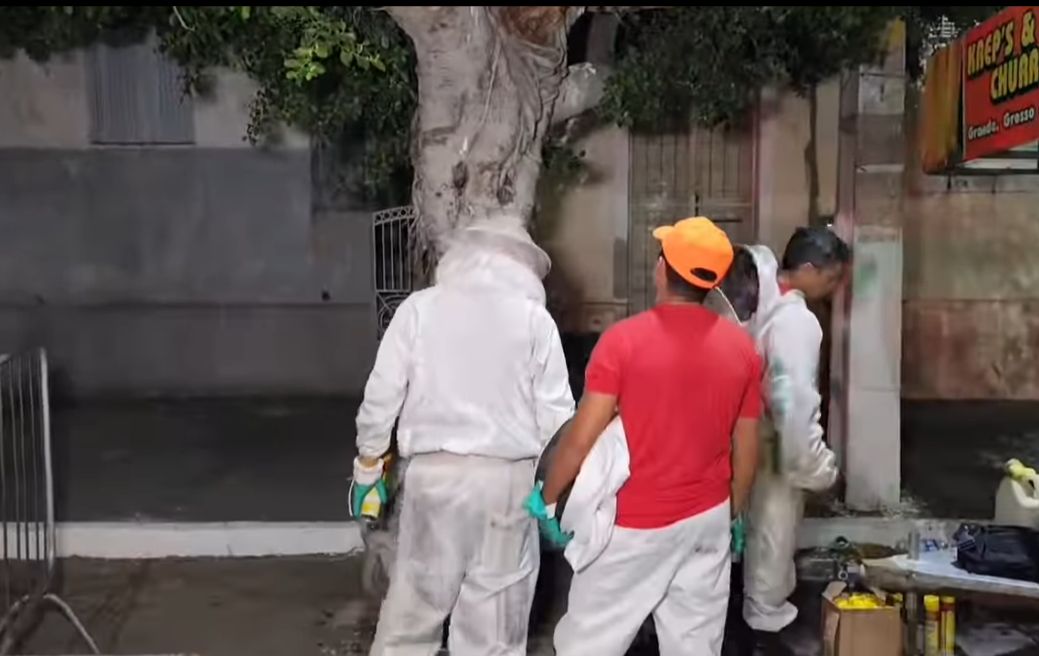 Bombeiros removem enxame de abelhas do meio da festa de Sant'Ana em Caicó