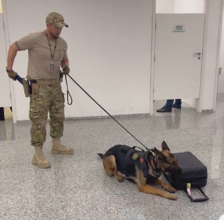 Polícia Federal prende tcheco de 72 anos com quase 5 kg de cocaína no aeroporto de Natal