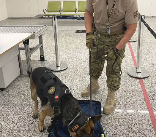 Polícia Federal prende aposentado tcheco com quase 5 kg de cocaína no Aeroporto de Natal