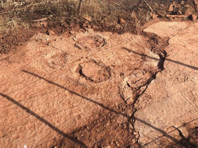 Cientistas da UFRN encontram pegadas de dinossauro de 125 milhões de anos