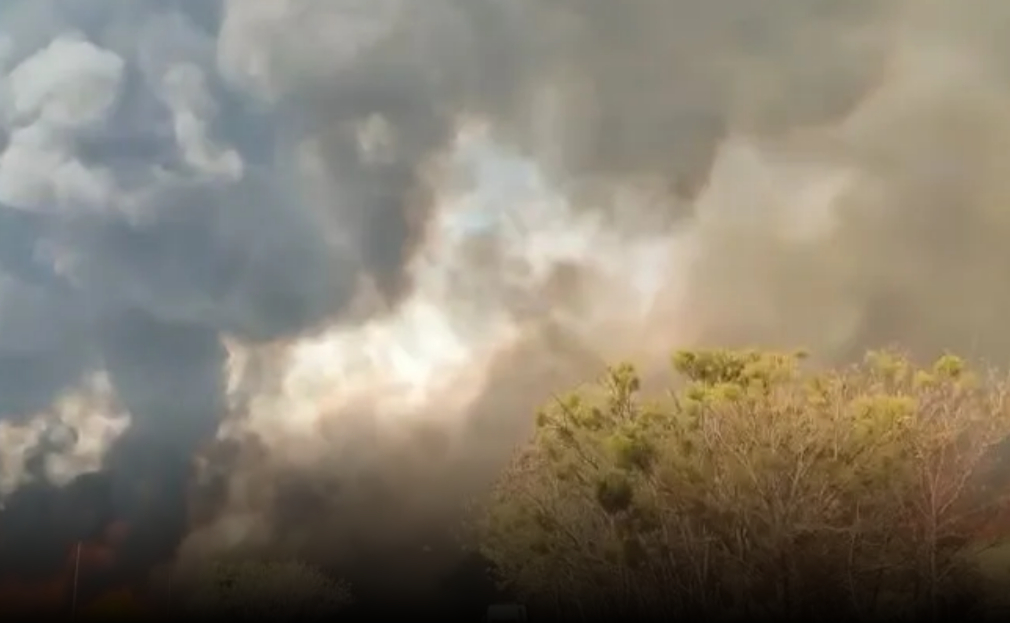 Sobe para três o número de presos por incêndios florestais no interior de SP