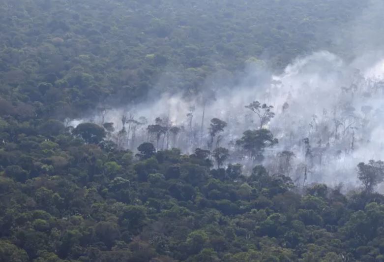 Dia da Amazônia tem região sofrendo com seca e queimadas