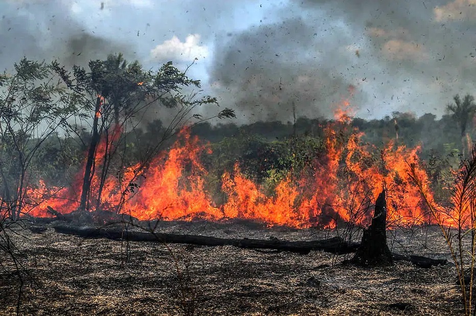 Brasil perdeu ‘uma Paraíba’ em queimadas só em agosto