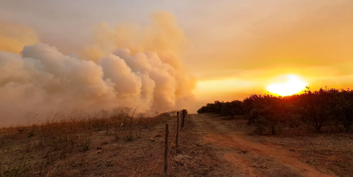 Brasil registra quase 1.800 focos de incêndio nas últimas 24 horas