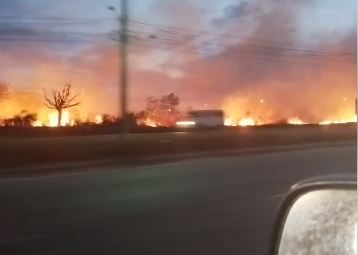 [VÍDEO] Incêndio atinge terreno ao lado da BR-406 na Grande Natal