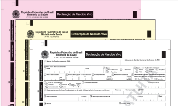 STF julga pedido do PT para retirar termo "mãe" da declaração de nascimento e faz "meio termo"