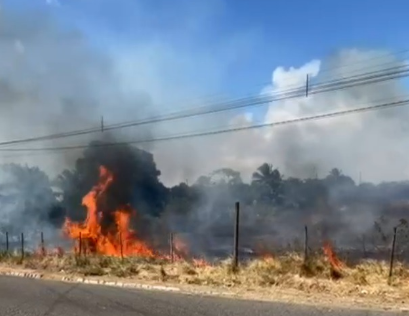 Incêndio em terreno na Rota do Sol atrapalha visibilidade dos motoristas