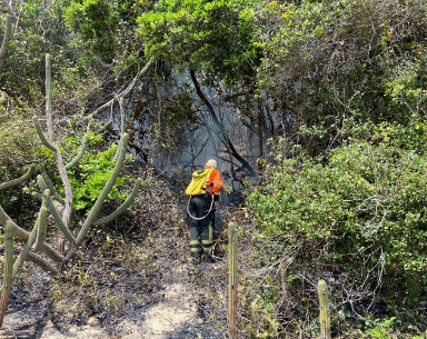 Incêndio criminoso é identificado no Parque das Dunas