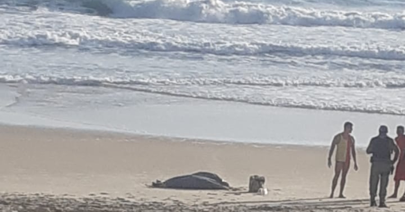 Corpo é encontrado na praia de Areia Preta