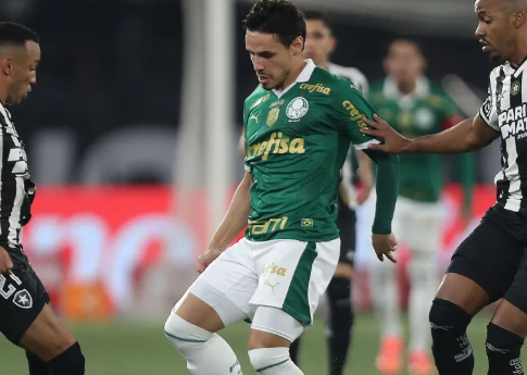 Palmeiras x Botafogo: histórico aponta favoritismo palestrino