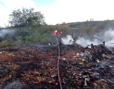 Bombeiros combatem incêndios florestais em quatro cidades do RN