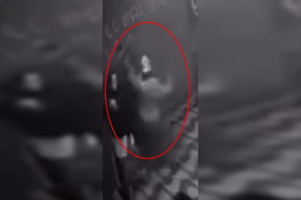 Capturar.JPG