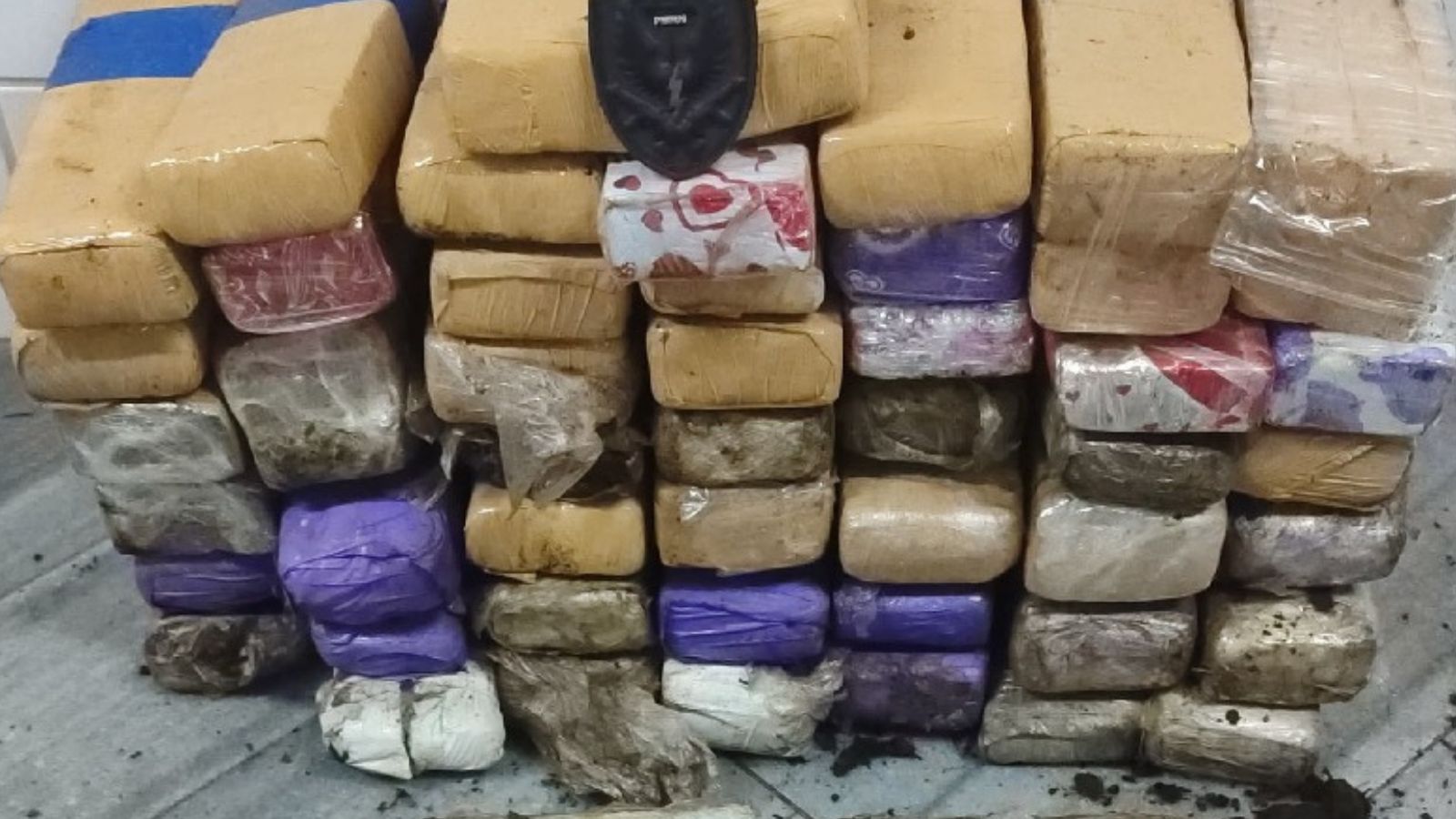 drogas apreendidas | foto: policia militar rn