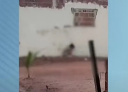 FireShot Capture 113 - Casal é acusado de agredir crianças com mangueira e deixá-los ao re_ - [agorarn.com.br].png