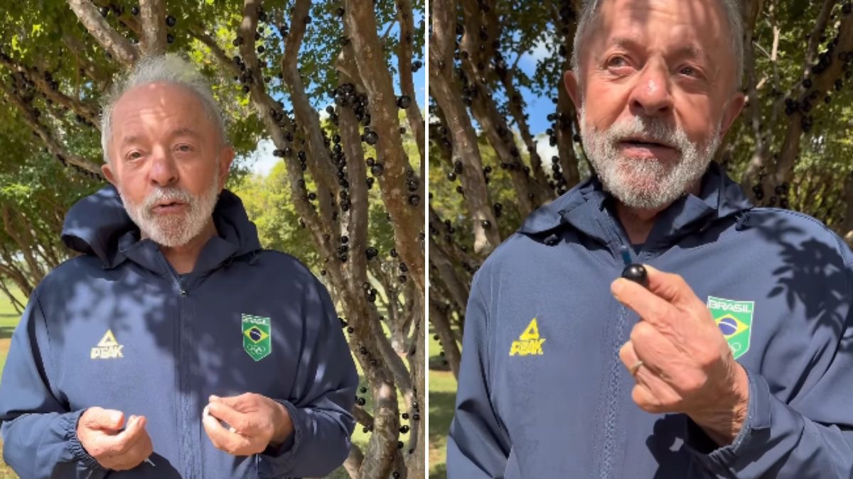 Lula e a jabuticaba | Foto: Reprodução