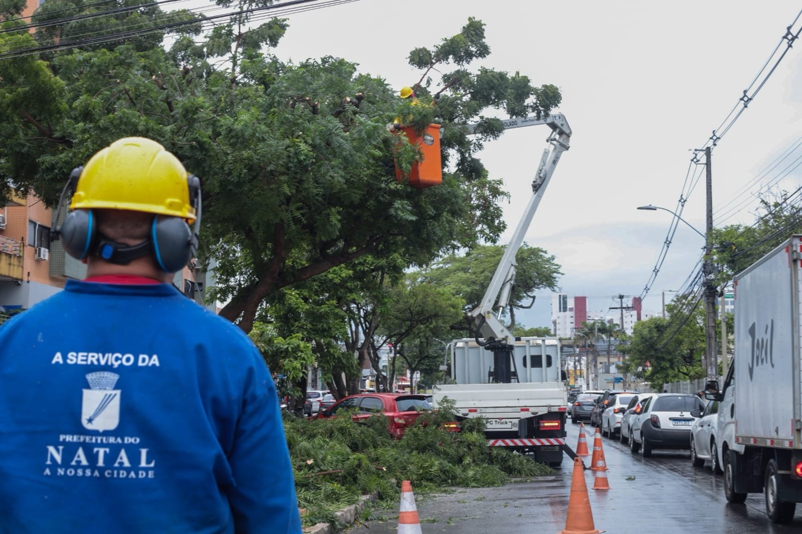 Poda de árvore em Natal | Crédito: Roberto Galhardo/ Semsur