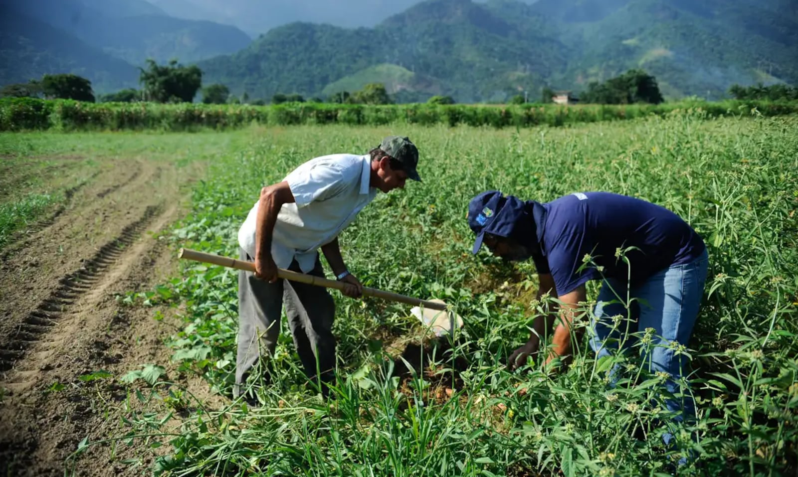 Brasil exportou US$ 12,1 bilhões em produtos do agro aos EUA | Foto: Tomaz Silva/Agência Brasil - Arquivo