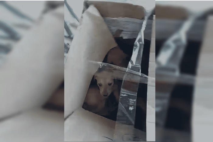 01JZNAXK07Y1BPXK779TSZZFSE (1).jpeg