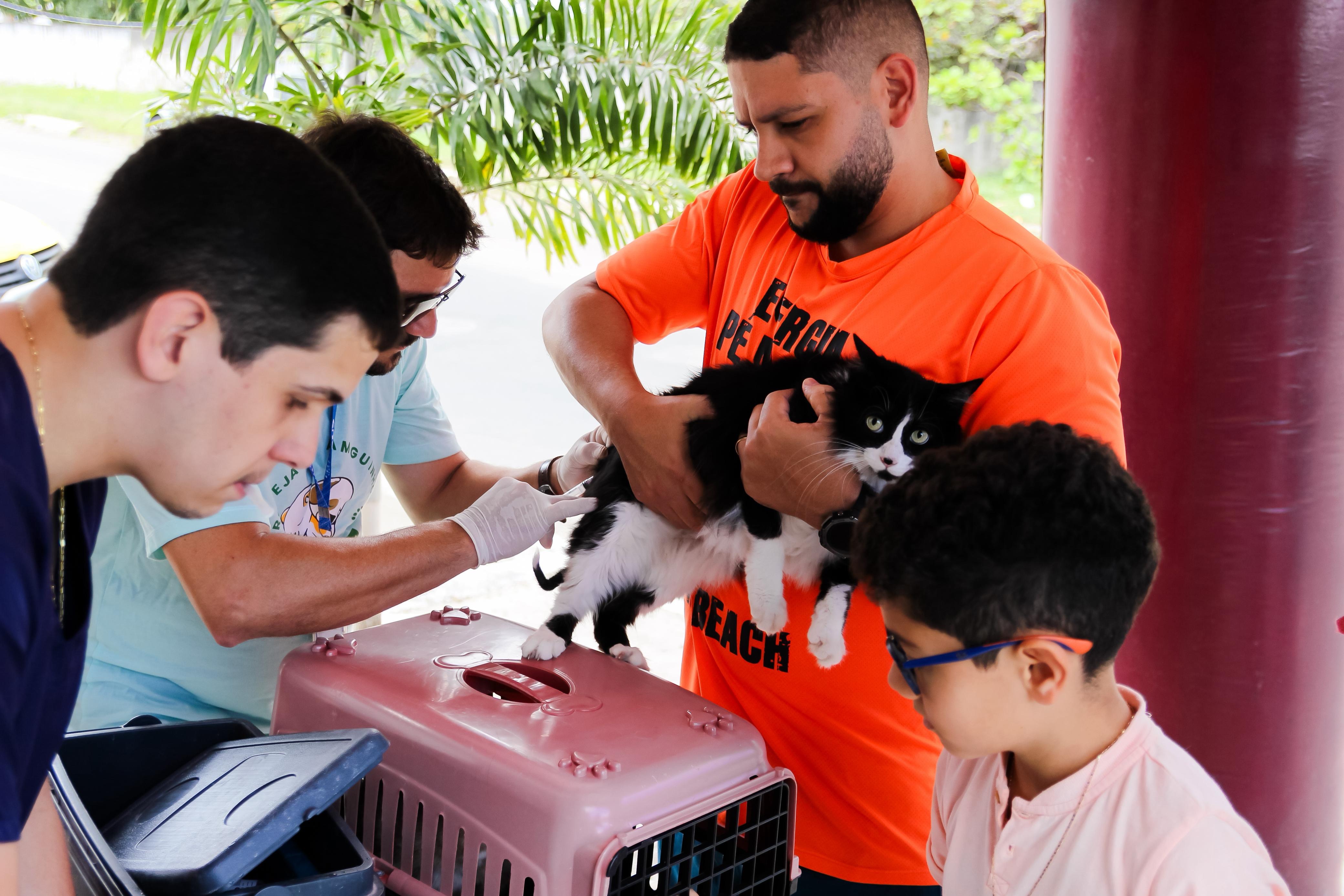 Vacinação gatos | Vacina gato | antirrábica | Foto: Divulgação/Prefeitura de Parnamirim