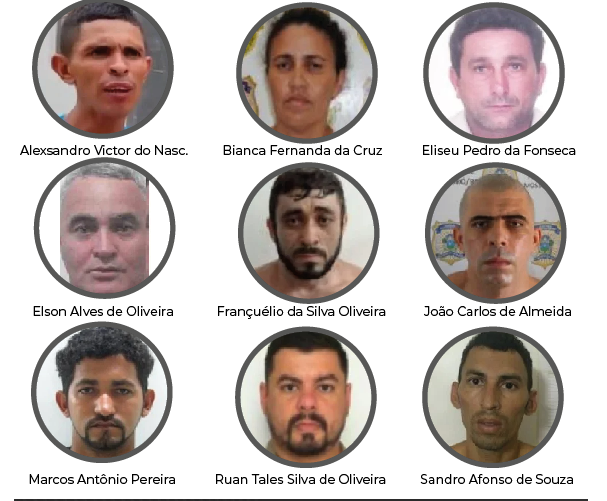 o ranking de mais procurados do RN
