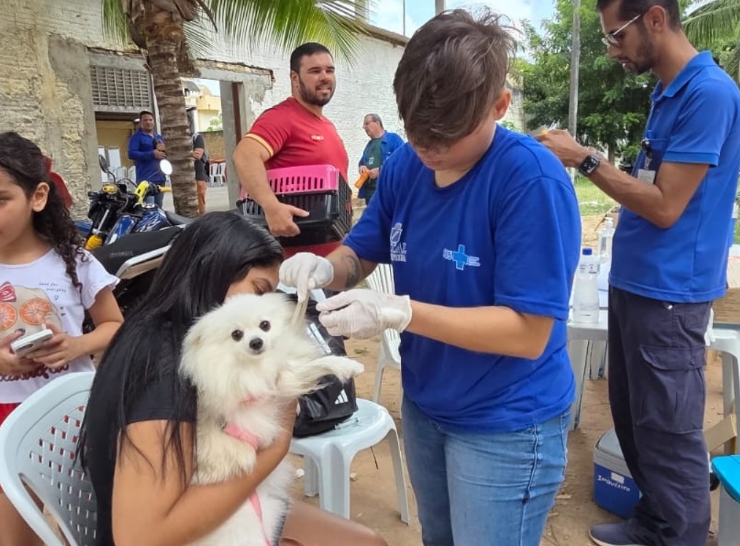 Vacinação animal em Natal | Crédito: SMS