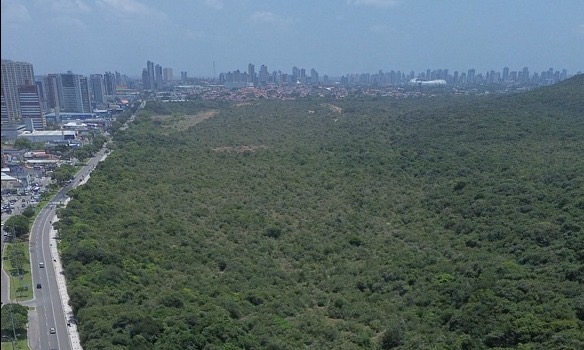 area da mata parque das dunas / parque linear 