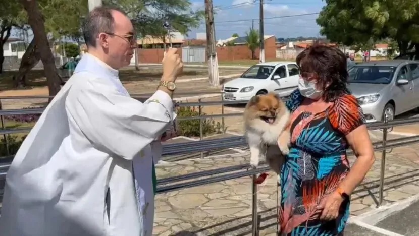 Natal terá evento com bênção para animais no próximo sábado 4, dia de São Francisco - Foto: Reprodução