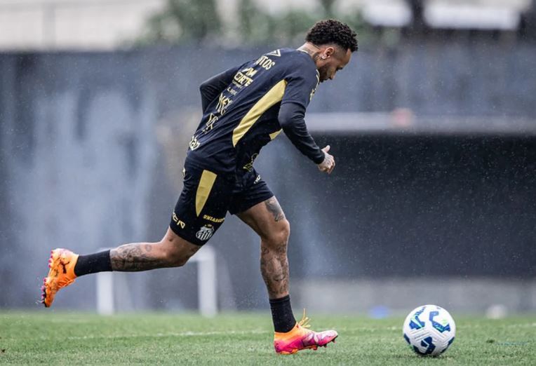 Foto: Raul Baretta/ Santos FC.